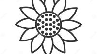 Sunflower Outline SVG