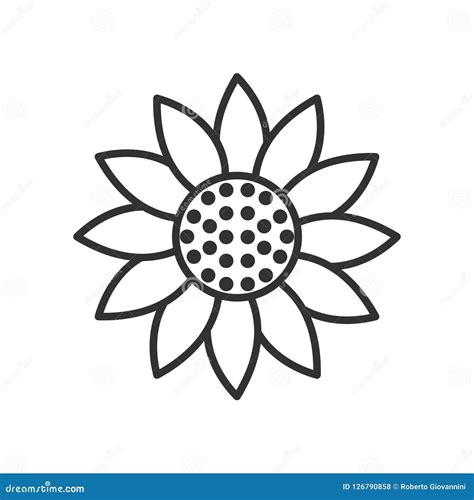 Sunflower Outline SVG