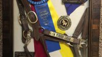 Horse Memorial Shadow Box The Enduring Legacy: Horse Memorial Shadow Boxes – A Cherished Tribute To Equine Companions