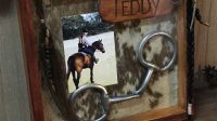 Download Horse Memorial Shadow Box Download Horse Memorial Shadow Box: A Cherished Remembrance For Equine Companions